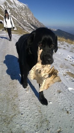 SISKA CON IL SUO REPERTO E VANESSA A SPASSO SUL VETTORE